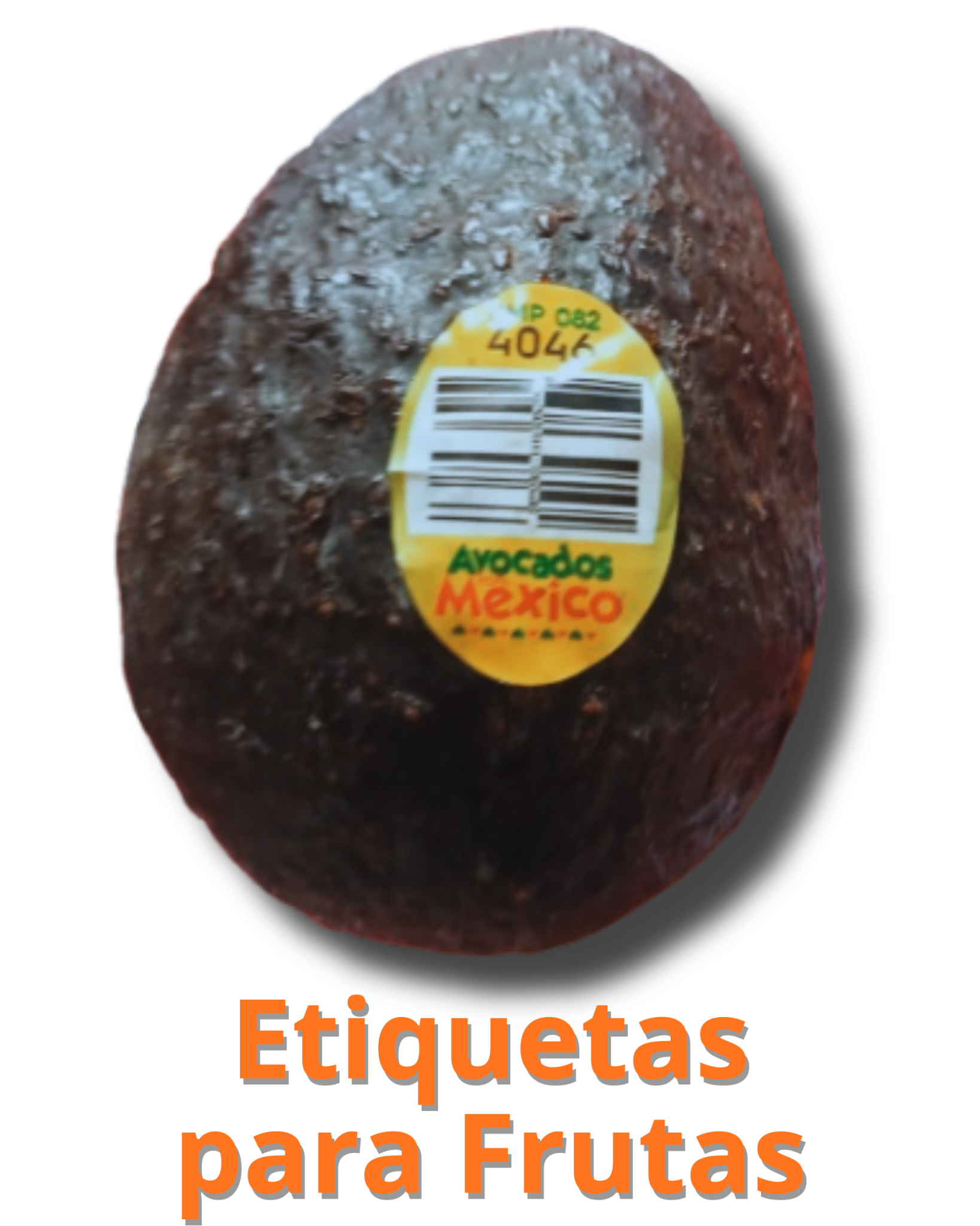 DESCRIPCION