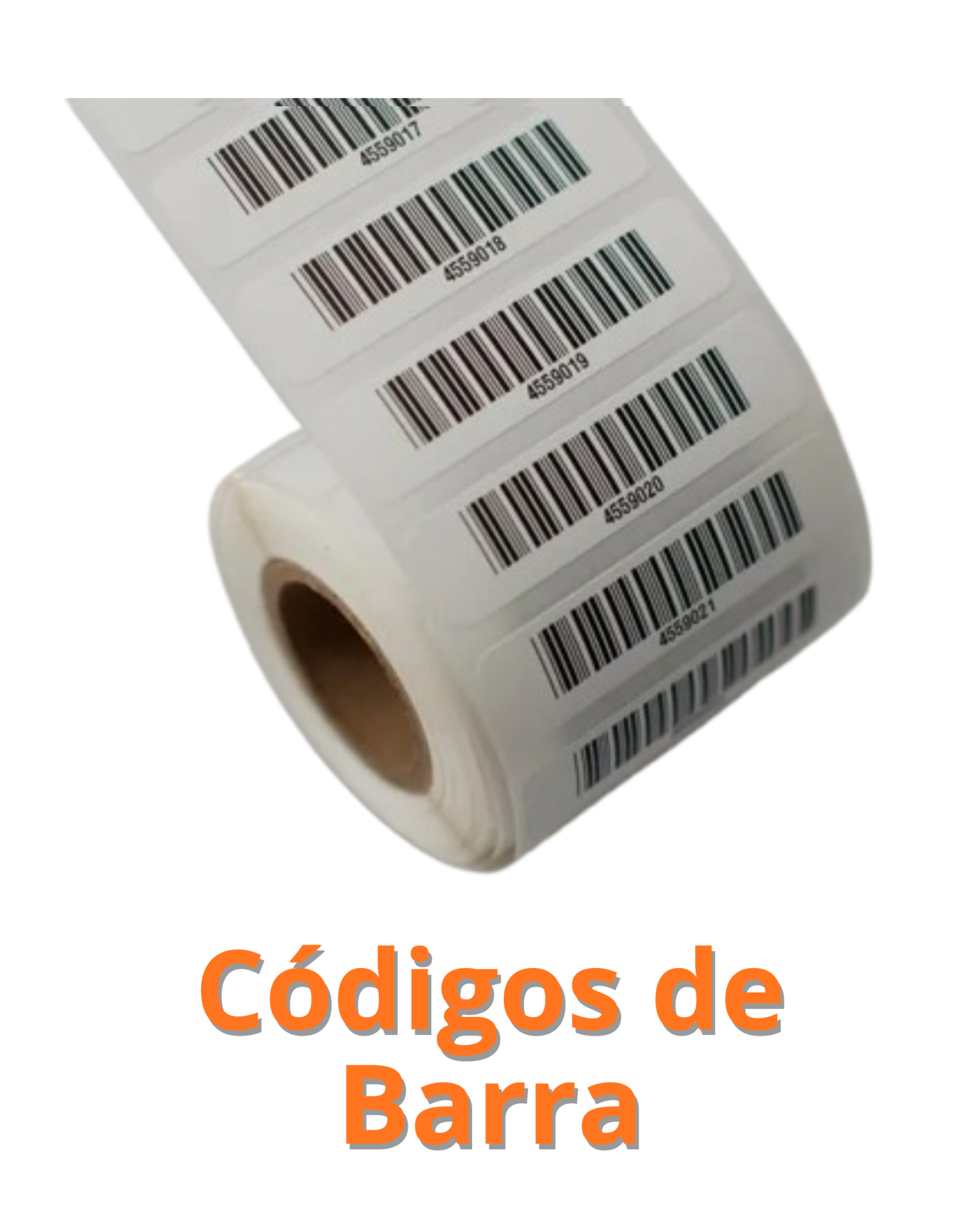 DESCRIPCION