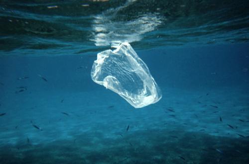 use bolsas reutilizables para el cuidado del medio ambiente