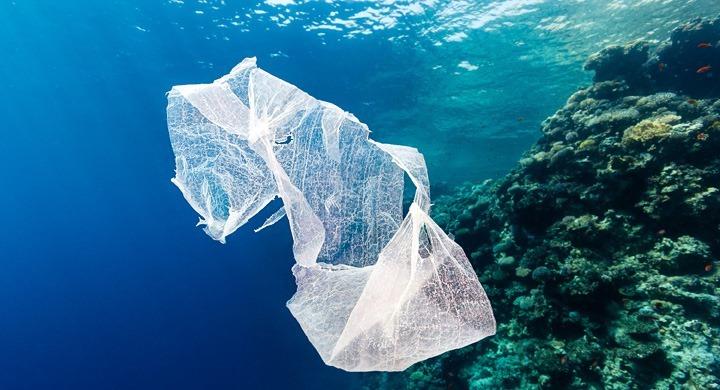 no a las bolsas de plastico