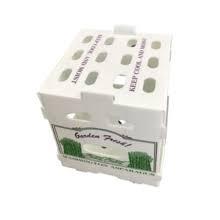maquina de serigrafia para corrugado plastico impri-maq