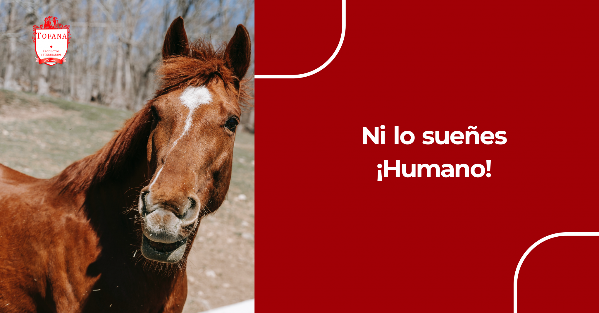 ¡Ni lo sueñes humano!