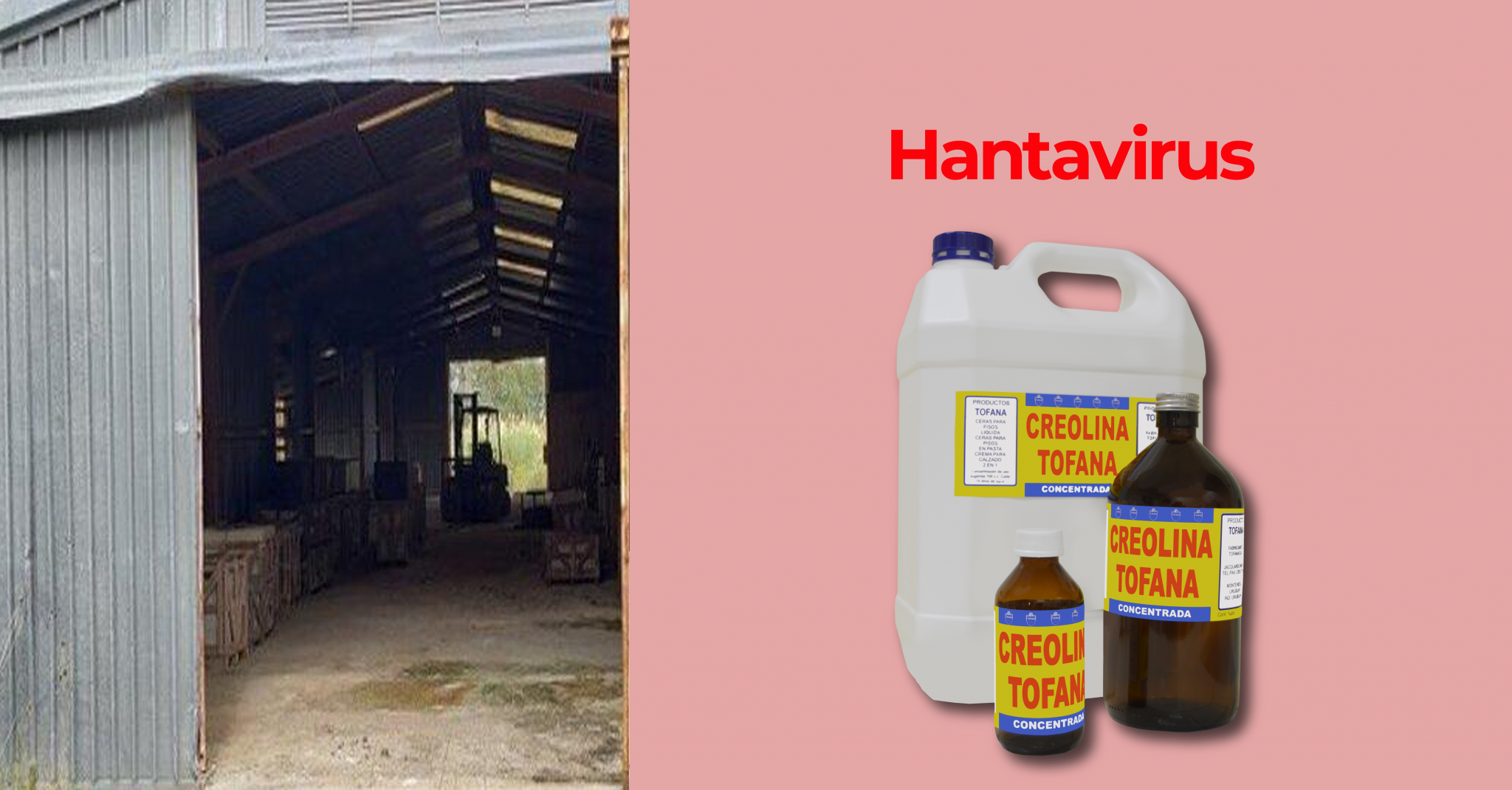 Protéjase del Hantavirus