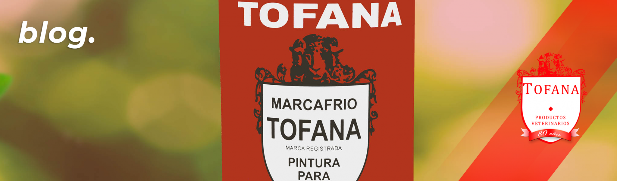 Marcafrio Tofana