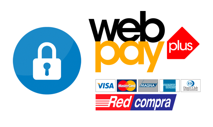 Medios de pago electrónicos