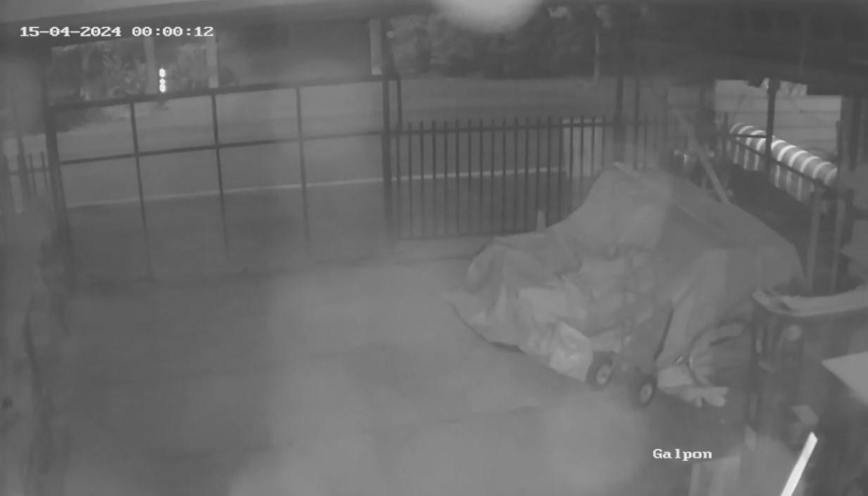 Cámara seguridad estandar