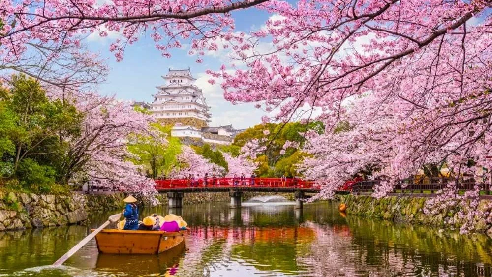 japon-en-primavera.webp