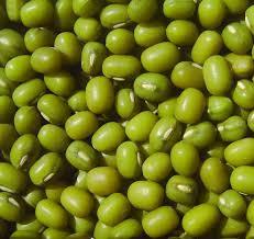 FRIJOL VERDE MUNGO