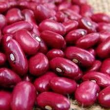 FRIJOL ROJO