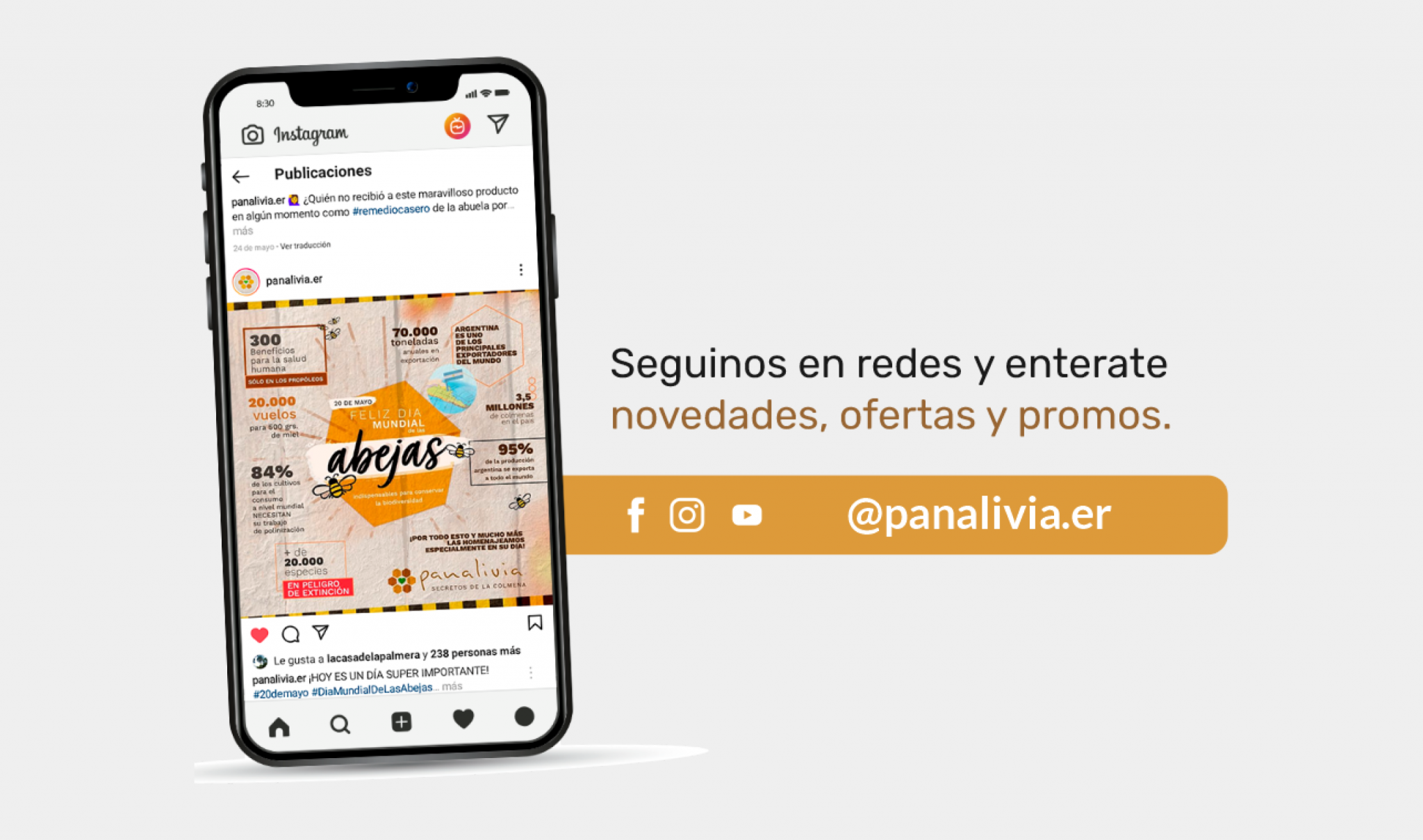 novedades ofertas y promos