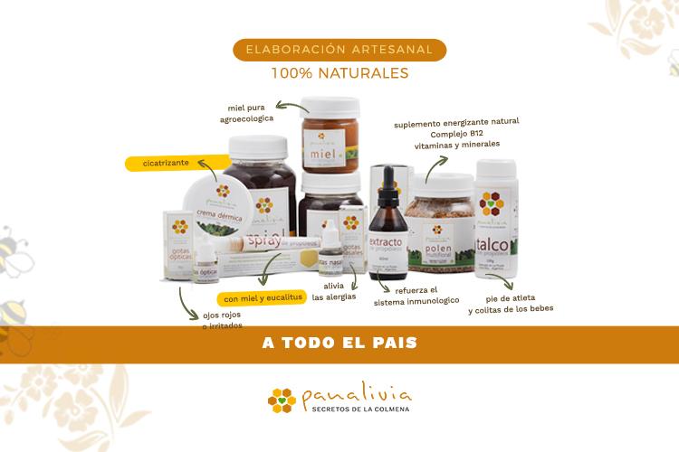 Salvar las abejas medio ambiente