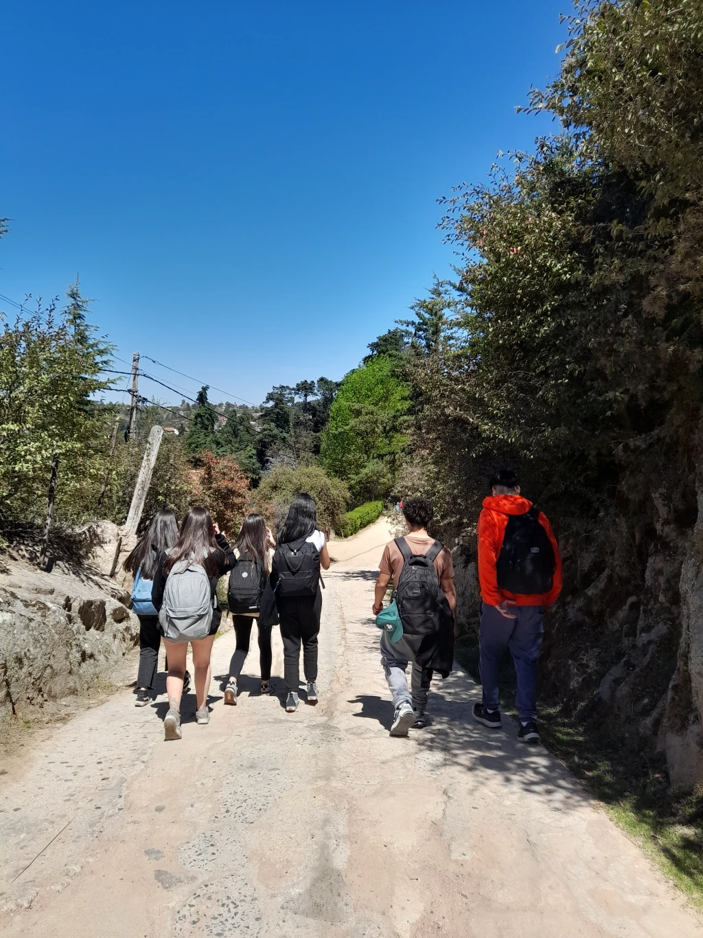 2-(9341).webp