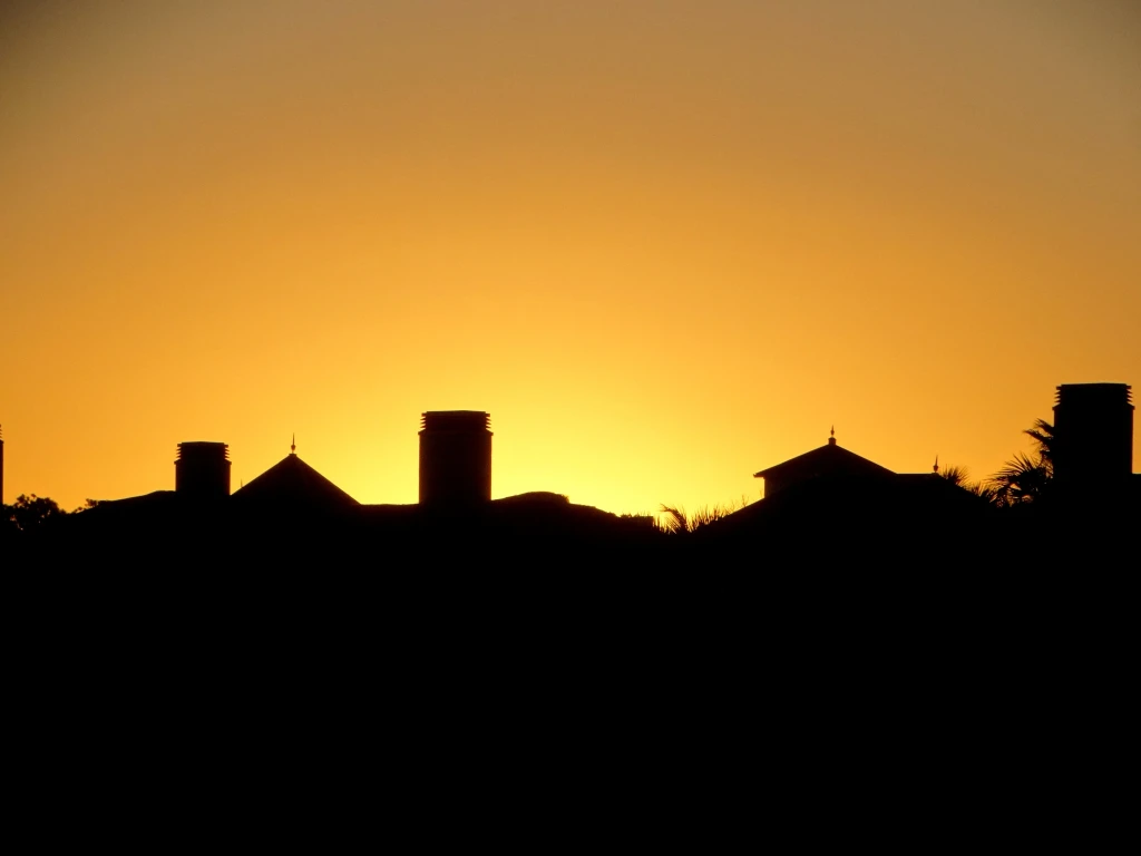 DSC01557.webp