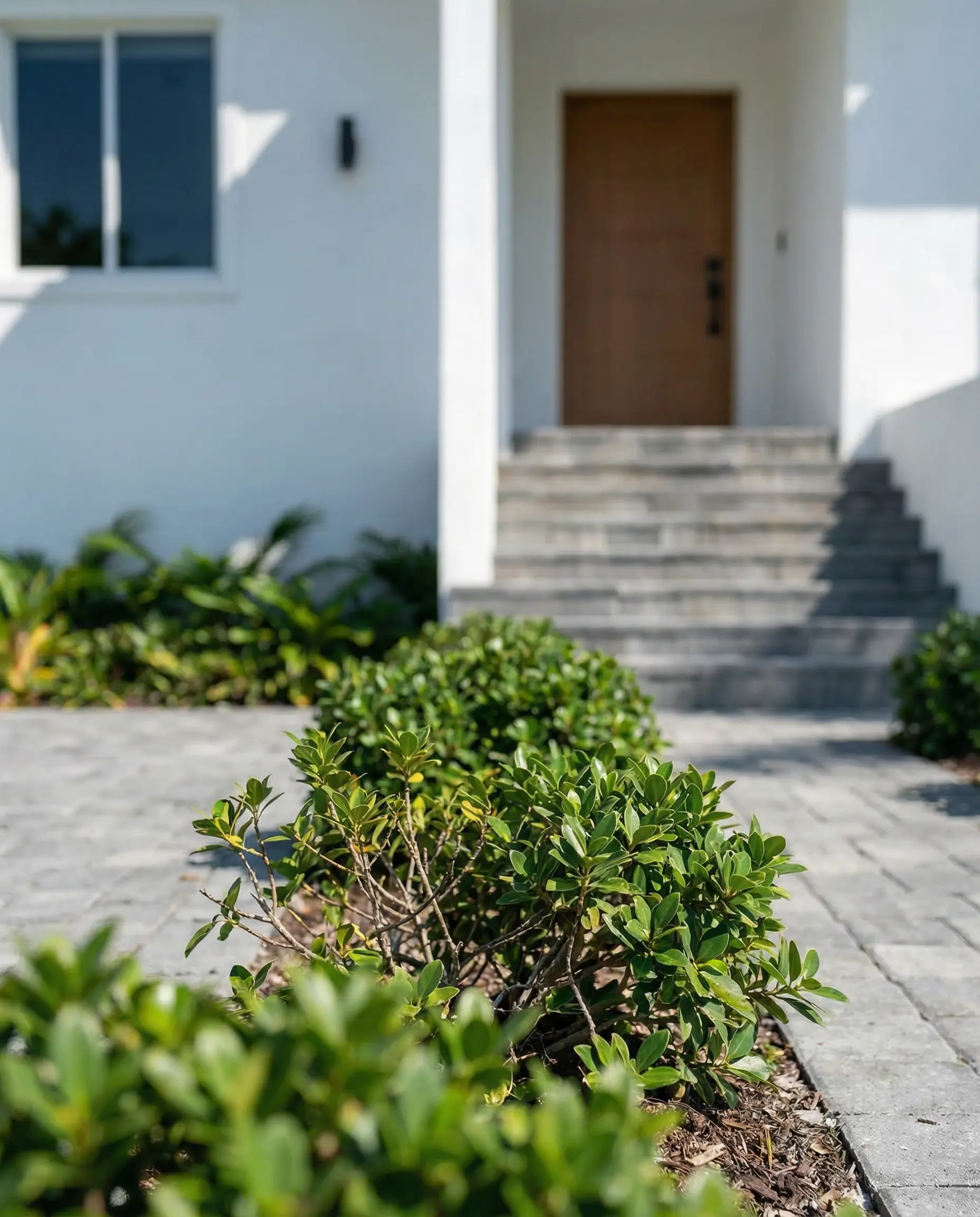 visualization Miami House