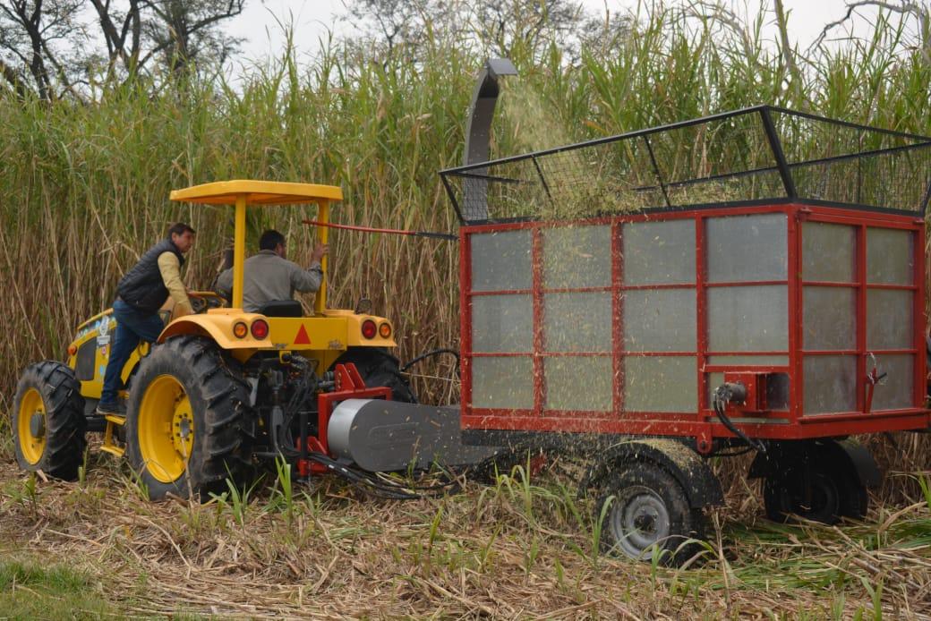 Importantes avances en el marco del Plan Pasturas