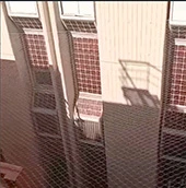sga10-(1207).webp