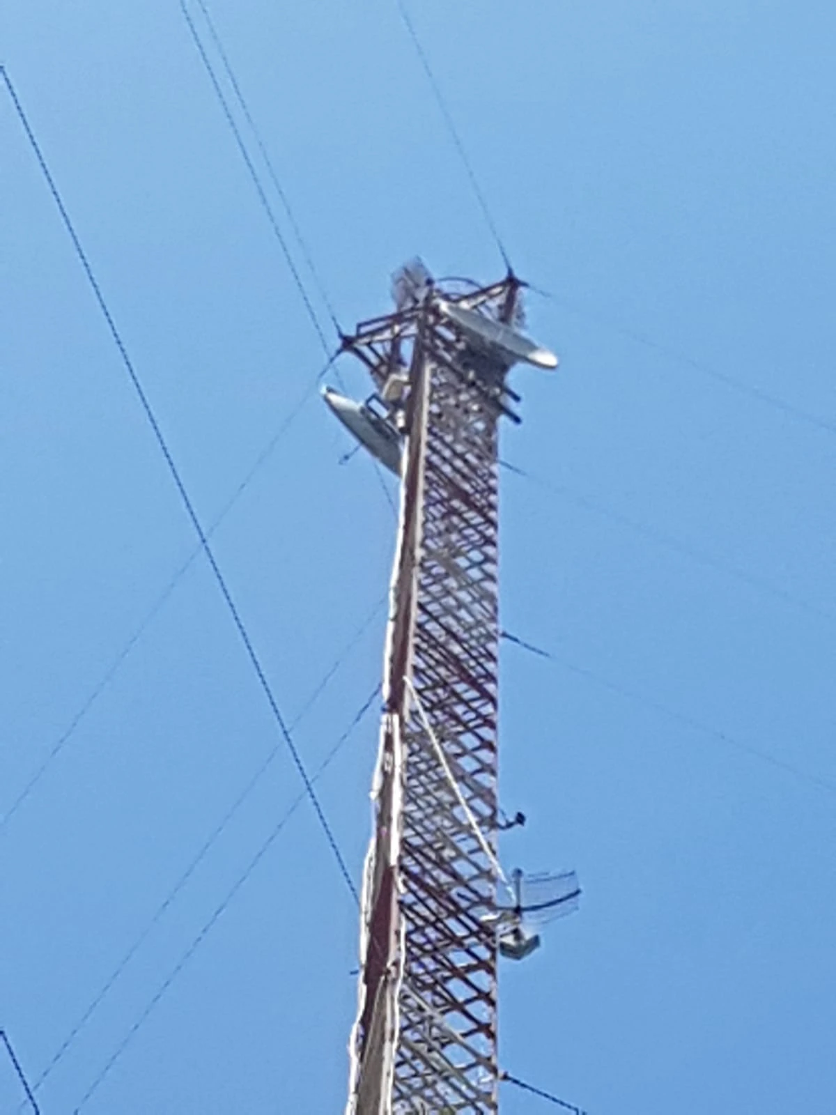 Acerca de