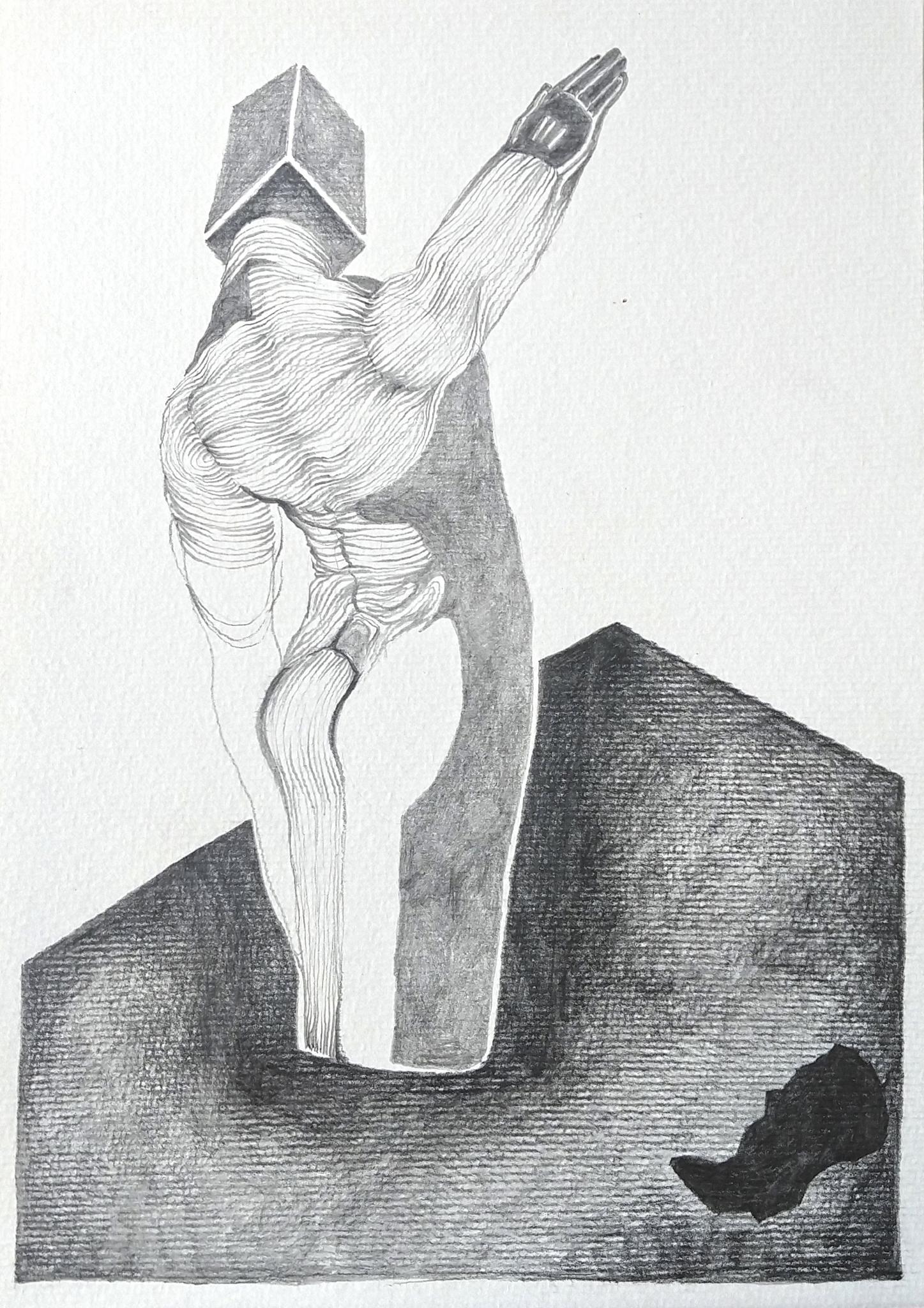 Siempre hay un idiota 2017 Grafito sobre papel de 300gr libre de ácido 28-5 cm x 21 cm- 2019 – s/m