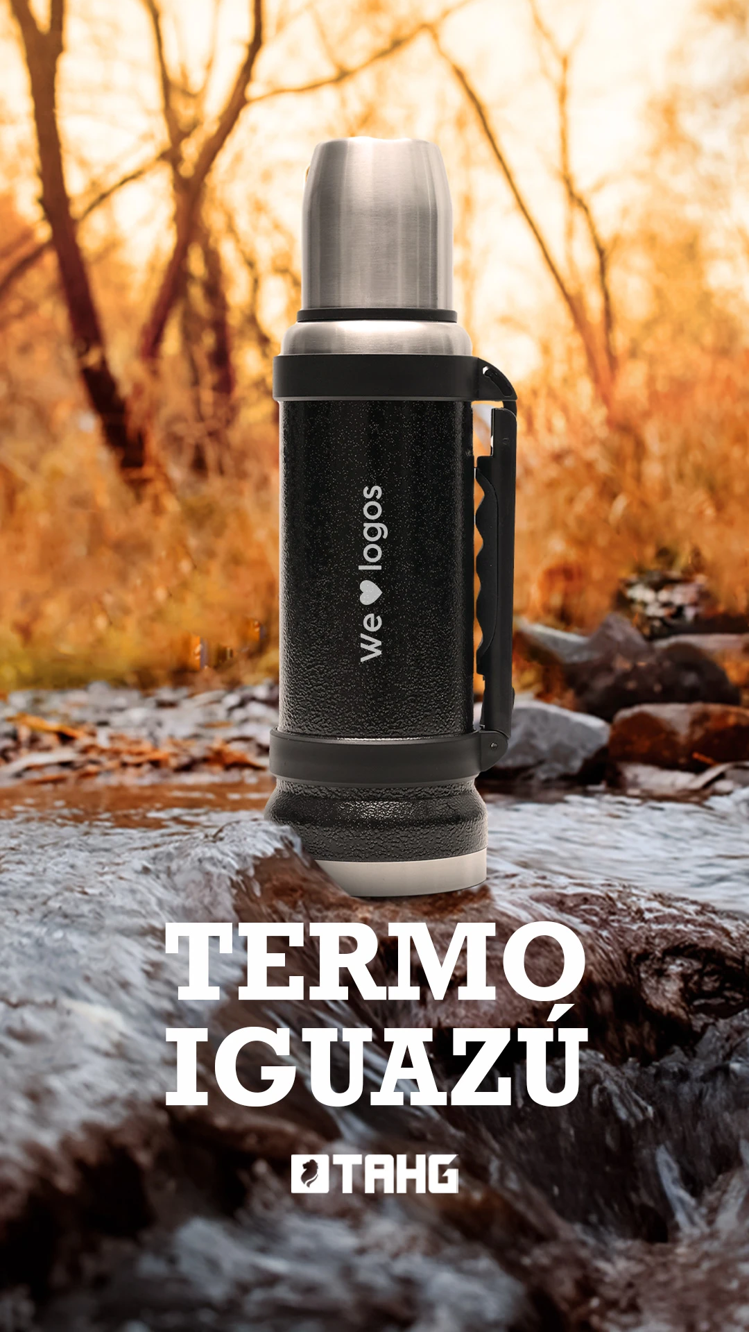 Story-Termo-Iguazu-II.webp