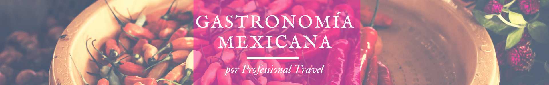 Top 5 de los mejores platillos típicos mexicanos