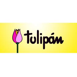 Tulipán