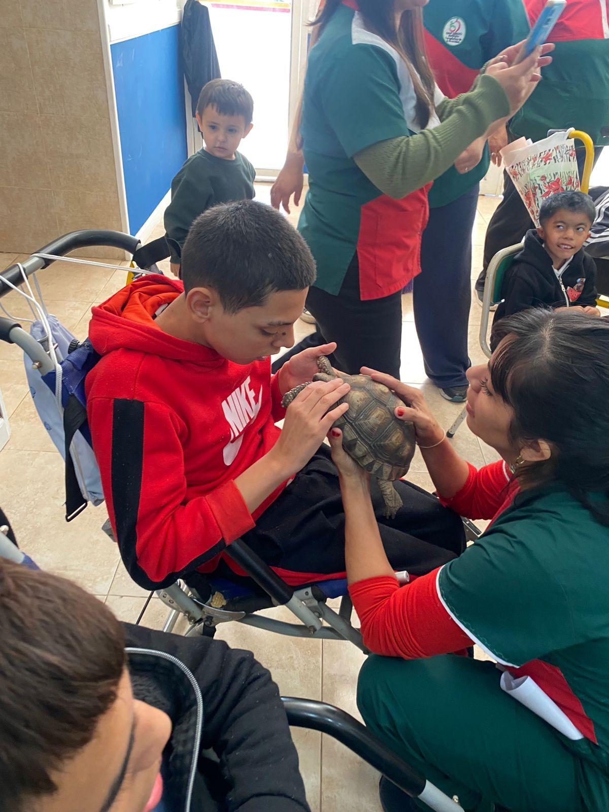 Dia del animal