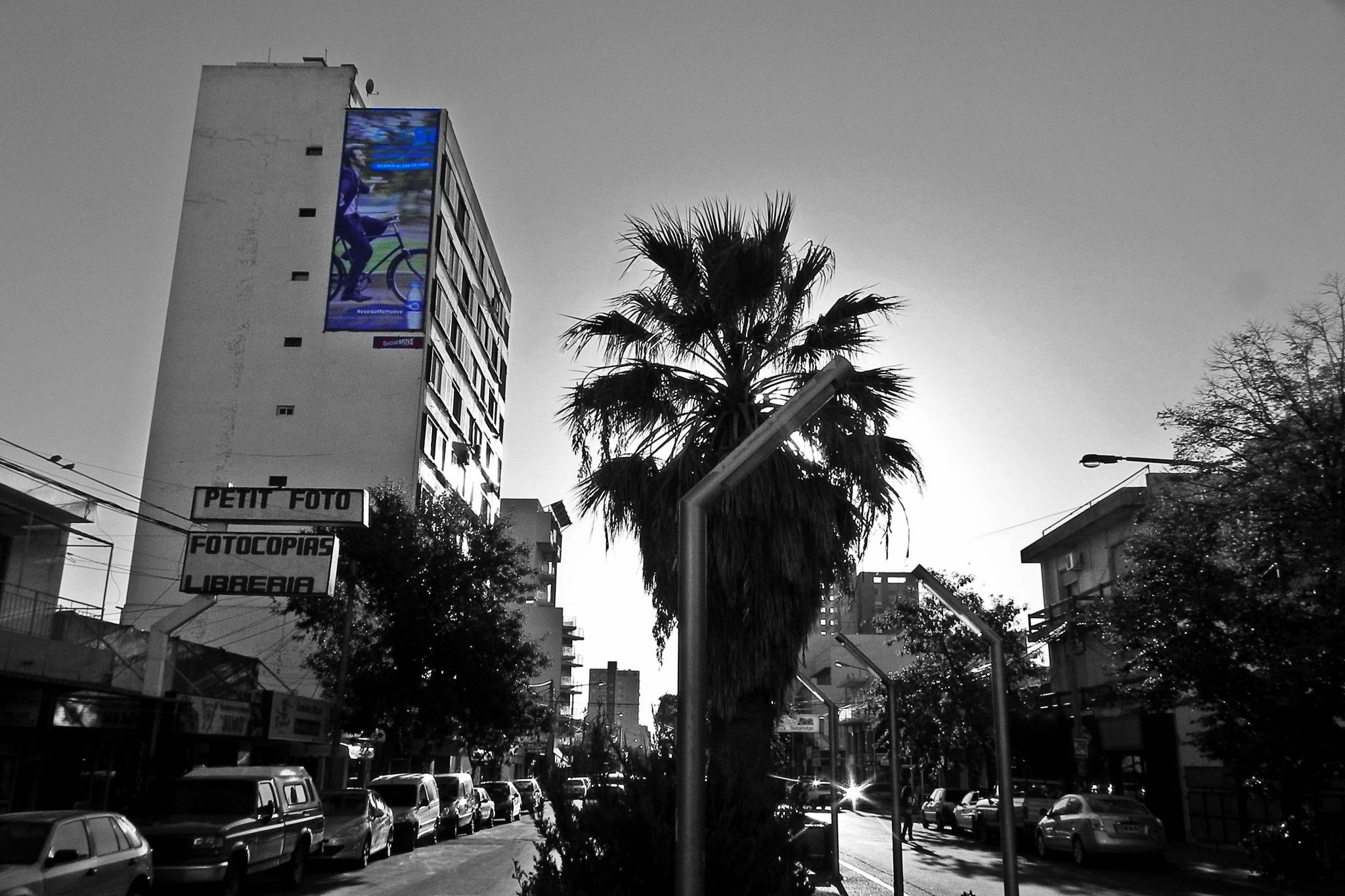 Publicidad Exterior en La Pampa. OOH. Publicidad en Vía Pública. Carteles. Gran Formato. Sextuples