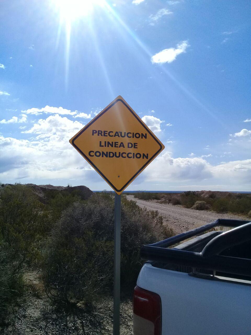 SocialMOVE Señalización vial