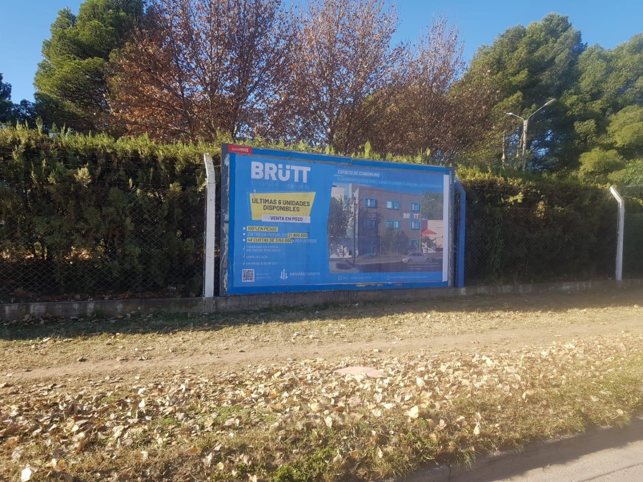 Brütt - Junio 2023