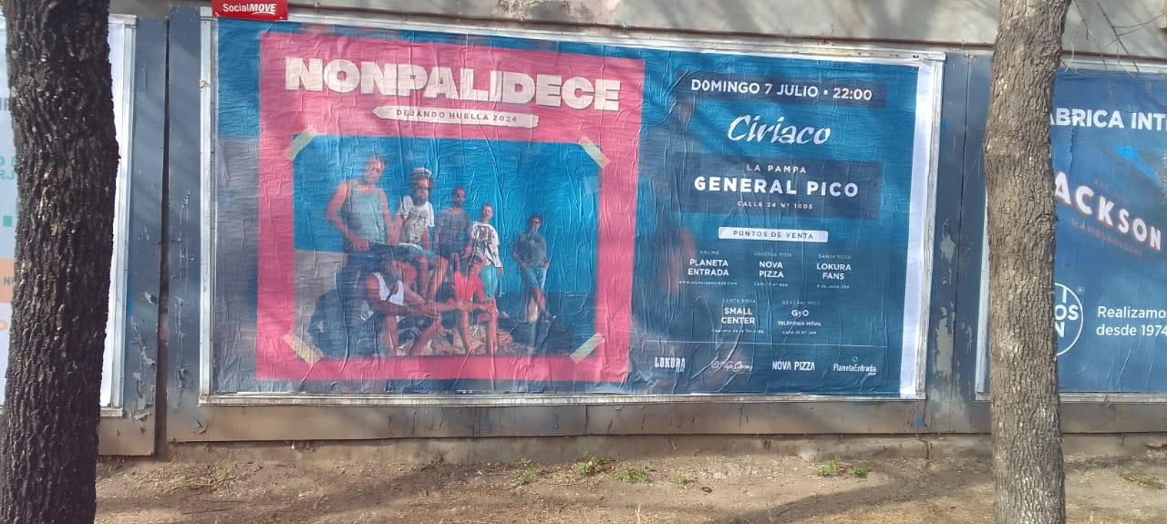 Nonpalidece - Mayo 2024