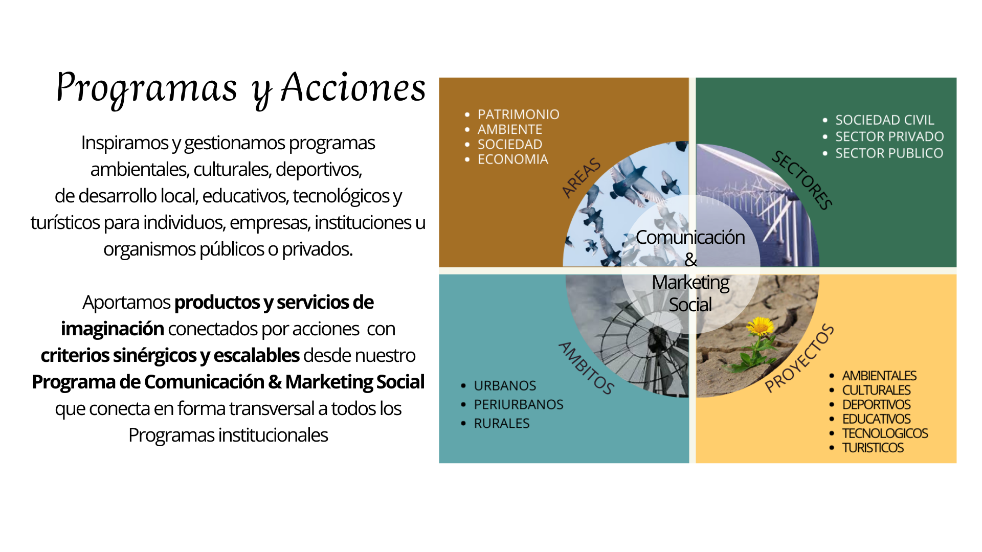 Programas y Acciones