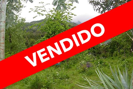 Parcela en Coñaripe