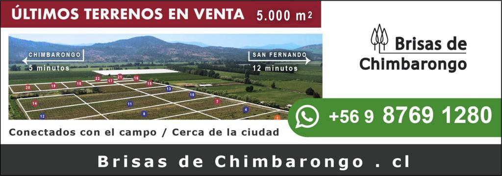 Productos y Servicios