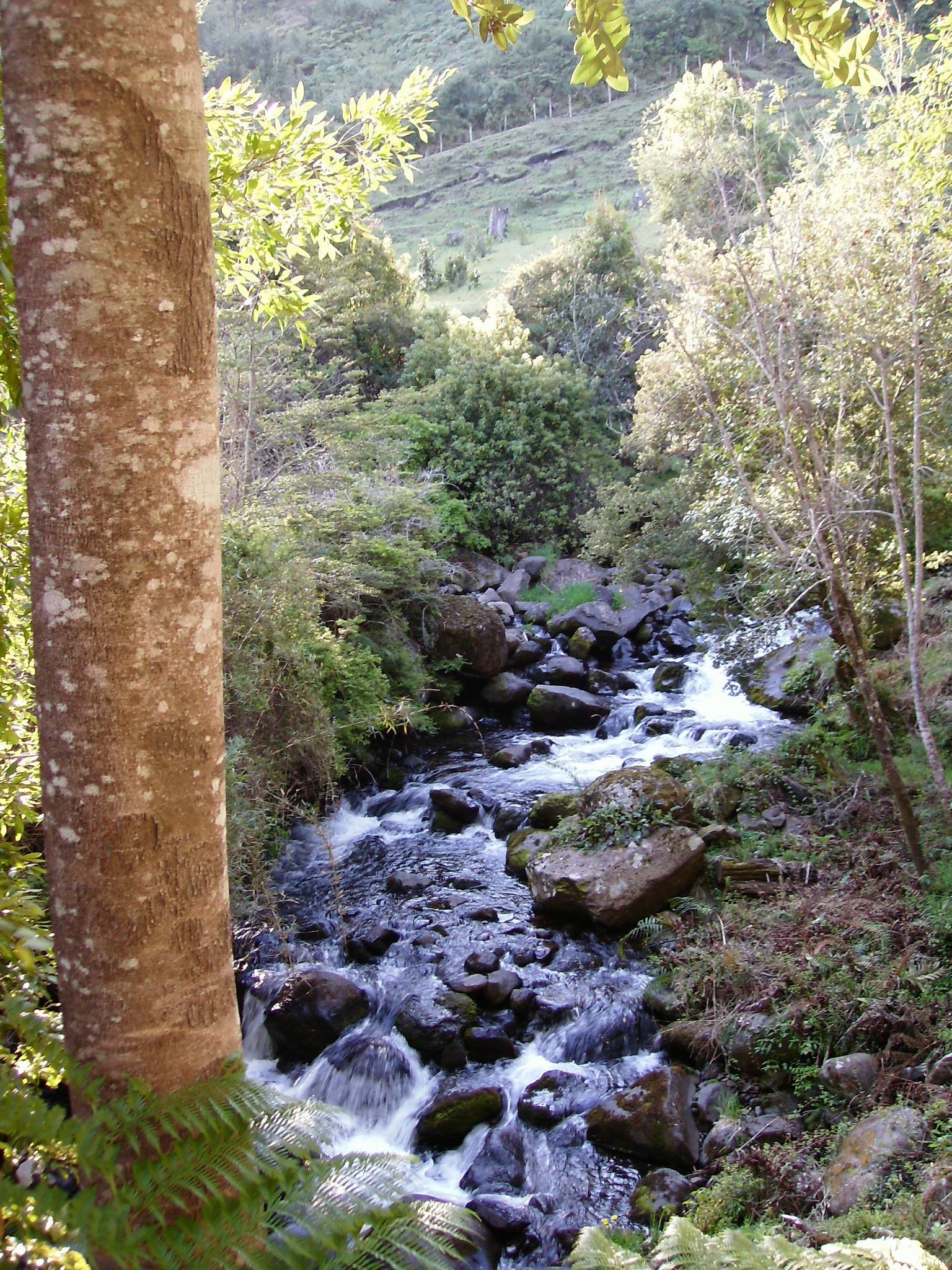 CUIDEMOS EL AGUA