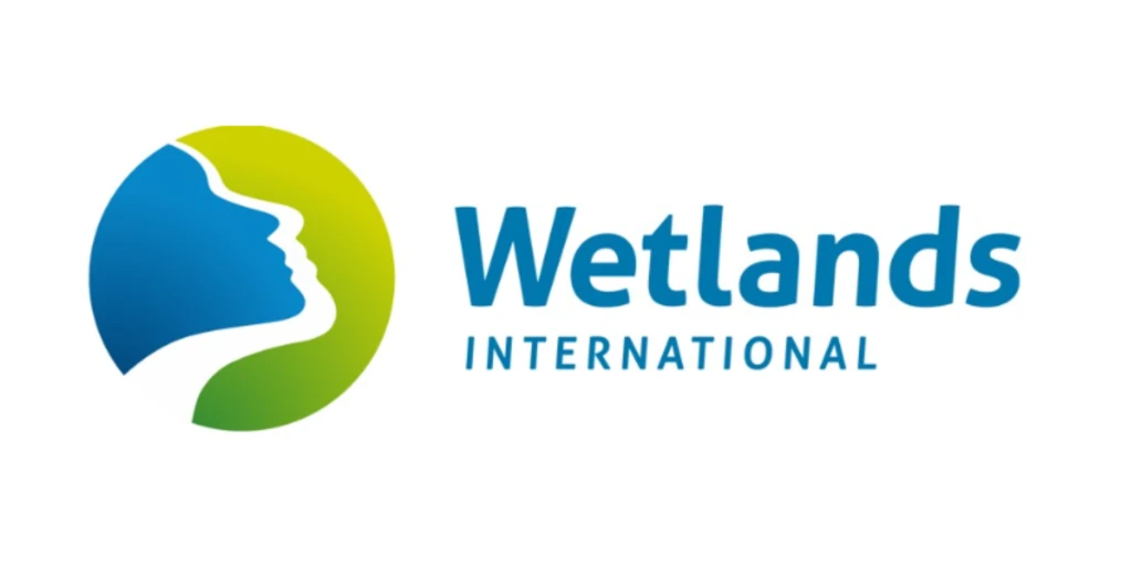 11.webp