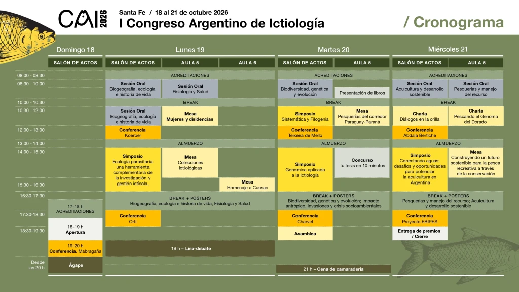 Cronograma |Programa actualizado