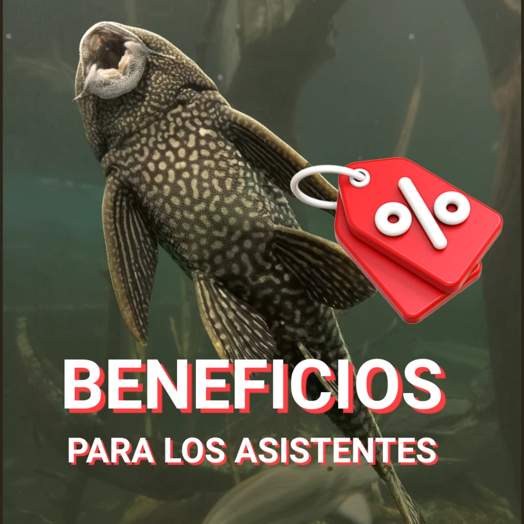 PROMOCIONES para participantes en el congreso…