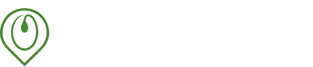 Olivo Estudio