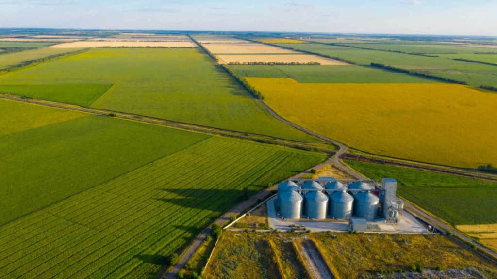 campos-de-argentina-20230721-1615370.webp