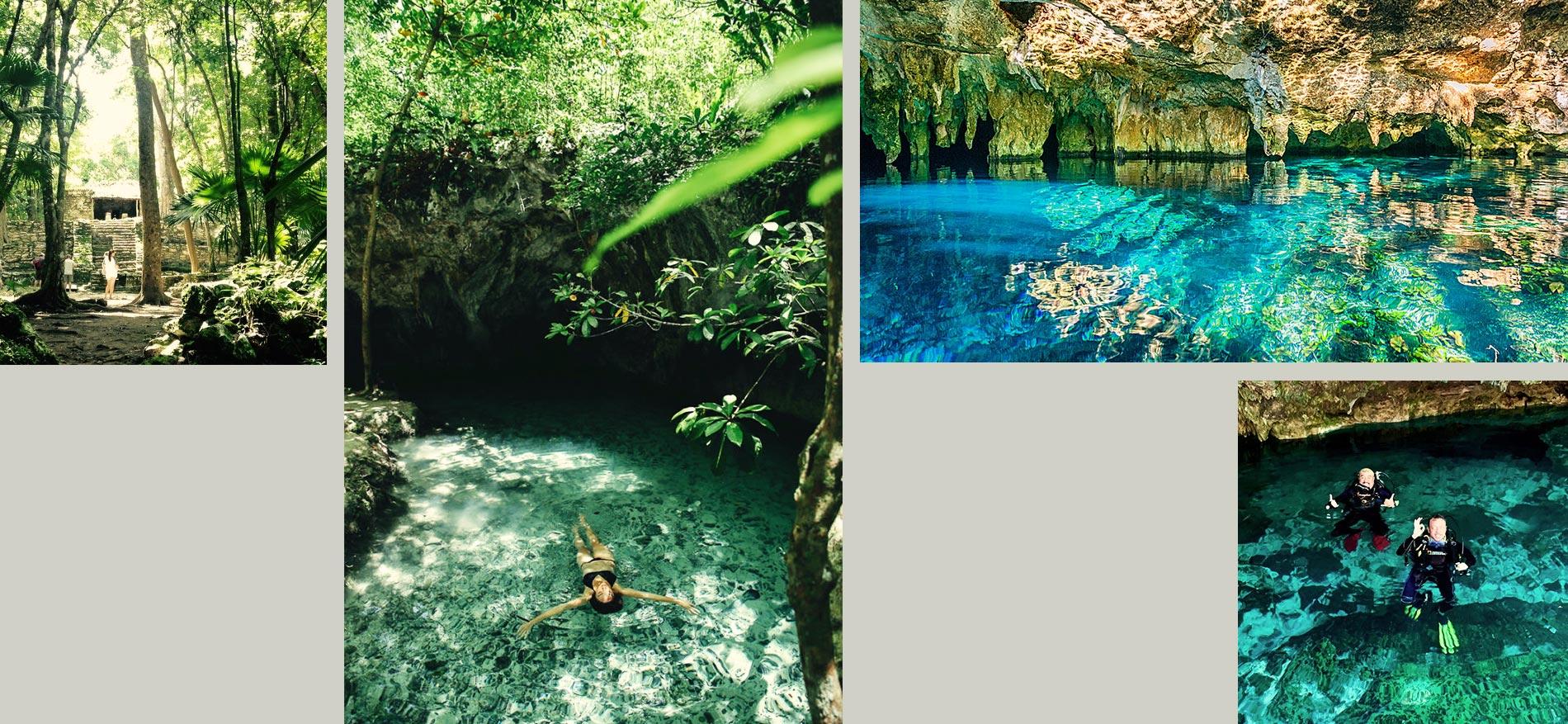 Jungla y Cenotes