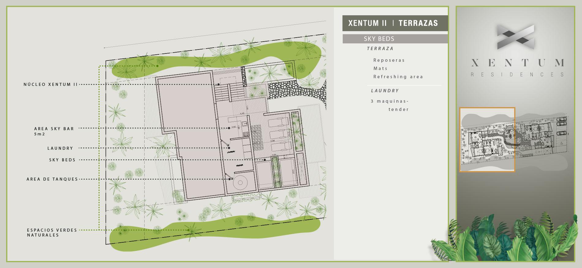 Detalle Planta