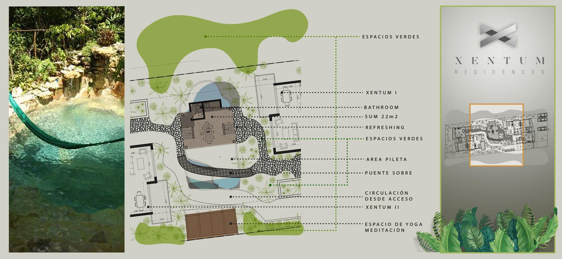 Planta amenities