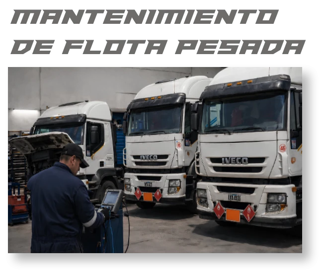flotapesada.webp