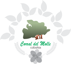 Cabañas Corral del Molle