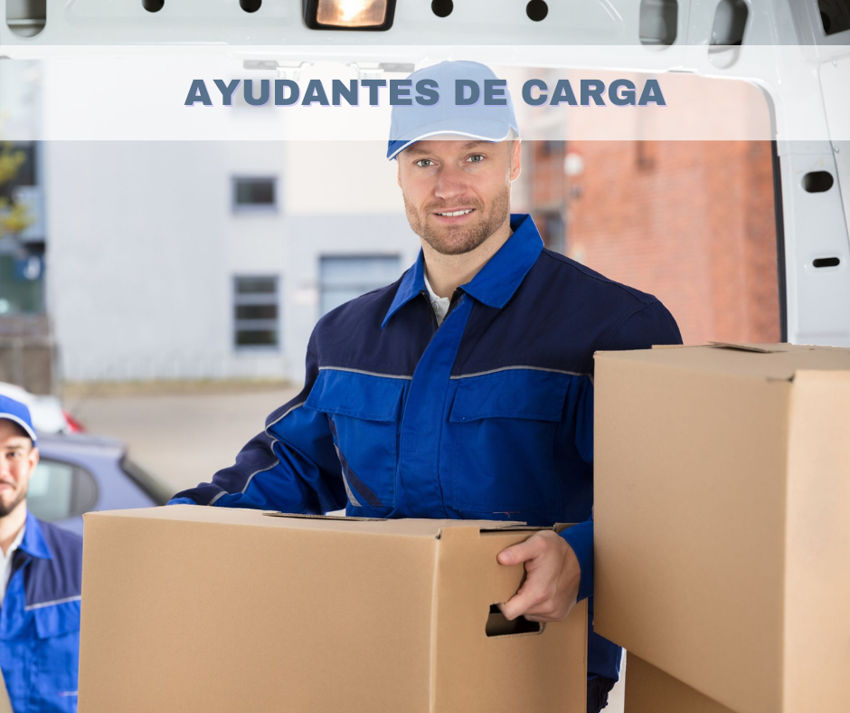 Servicio profesional de mudanza