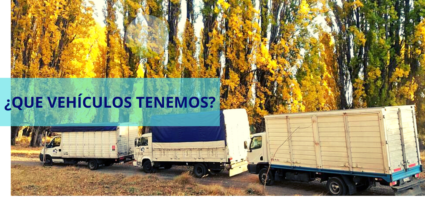 Camiones y camionetas de mudanza