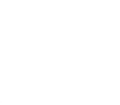 Raíces SRL