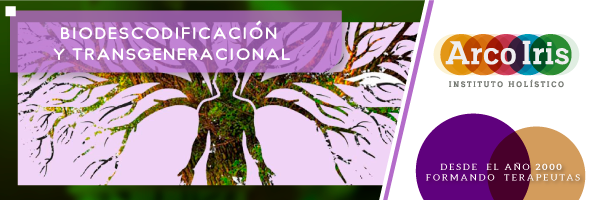 Sesiones individuales