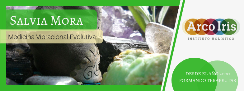 Consultas Evolutivas
