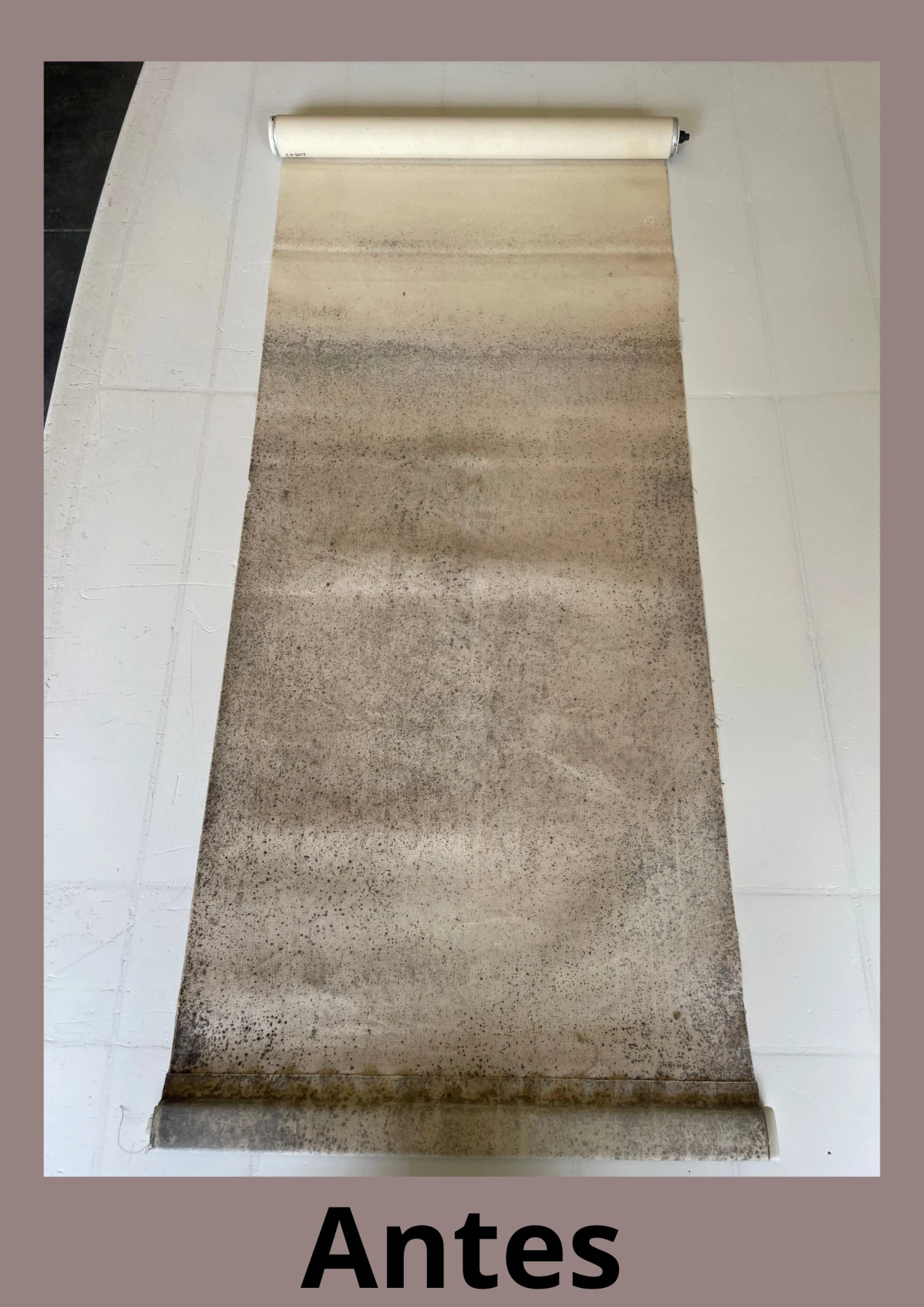 Antes-(3549).webp